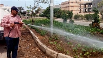 رفع 70 طن قمامة وزراعة 1000 شجرة في الدقهلية