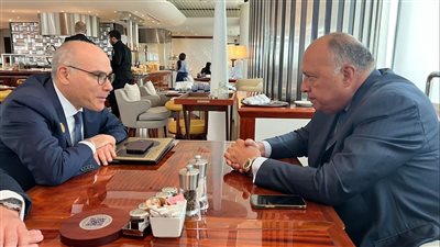 تعاون وثيق بين مصر وتونس قبيل انطلاق الاجتماع الوزاري للقمة العربية في جدة (صور)