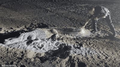 تحفة رملية تثير الرعب على أحد شواطئ فلوريدا