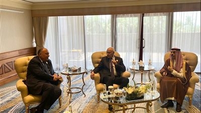 سامح شكرى يشارك في الاجتماع الأول لمجموعة الاتصال العربية المعنية بالوضع في السودان