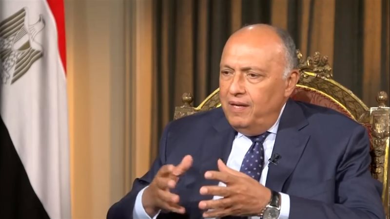سامح شكري، فيتو
