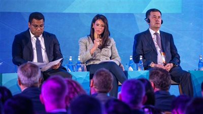 المشاط: تعزيز مفهوم التحول الأخضر يتطلب العمل المشترك بين الأطراف ذات الصلة وشراكات بناءة