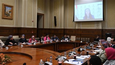 تضامن النواب تناقش موازنة المجلس القومي للمرأة باستخدم الفيديو كونفرانس