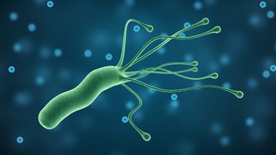 طرق الحماية من جرثومة المعدة 