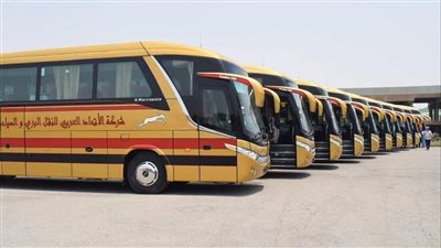 بالأرقام حجم تراجع مبيعات الأتوبيسات خلال 8 أشهر 