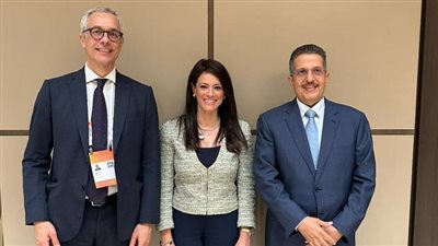 المشاط: نعمل مع شركاء التنمية على توفير التمويلات المختلطة بقطاع الطاقة المتجددة