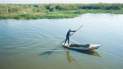  أستاذ بمركز بحوث الصحراء: القانون يجرم استخدام الطرق المحرمة في صيد الأسماك