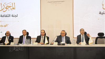 تنسيقية شباب الأحزاب: التعامل مع قضية الهوية الوطنية مرتبط بالأمن القومي 