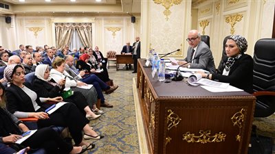 تعليم البرلمان تطالب بإنشاء مستشفيات لكليات طب الوادي الجديد والعريش