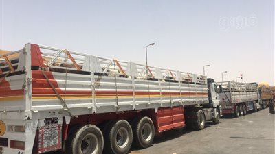 وصول 4 آلاف رأس ماشية من السودان بميناء قسطل البري لطرح اللحوم بالمجمعات الاستهلاكية