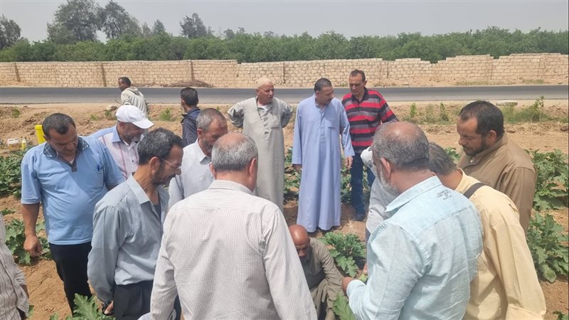 جانب من فعاليات اليوم