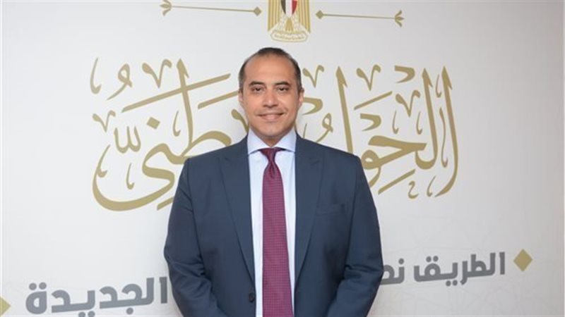 المستشار محمود فوزي،