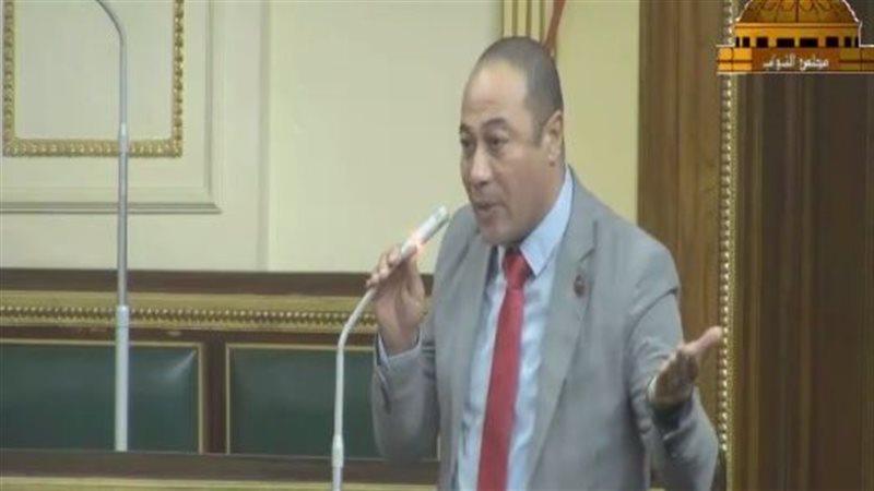 النائب علاء سليمان