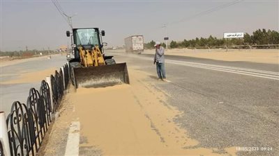 حملات نظافة وتجميل بواحة الخارجة بالوادي الجديد (صور)