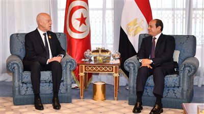  السيسي ونظيره التونسي يتوافقان على دفع جهود تسوية الأزمات بالمنطقة العربية