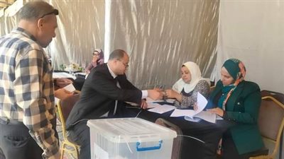 إقبال على انتخابات نادي أصحاب الجياد في الإسكندرية