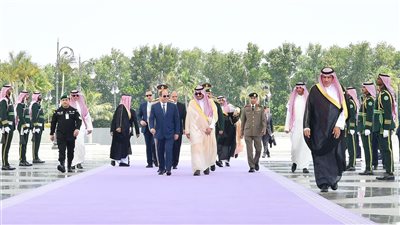 نص كلمة الرئيس السيسي أمام القمة العربية الـ32 في جدة 