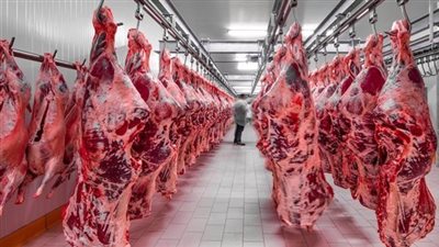 نقابة الجزارين: اللحمة أصبحت للأثرياء فقط وموسم عيد الأضحى كارثي