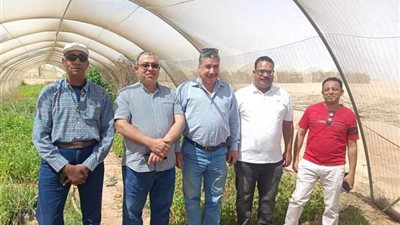 وكيل وزارة الزراعة في جولة تفقدية لمواقع مشروعات إنتاج الحرير بالوادي الجديد (صور)