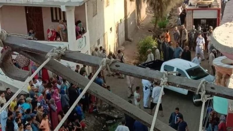 مشاجرة، فيتو 