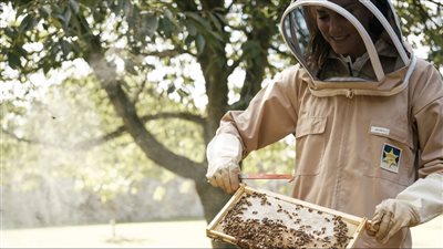 صورة عمرها عام، أميرة ويلز ترتدي زي النحالين في اليوم العالمي للنحل