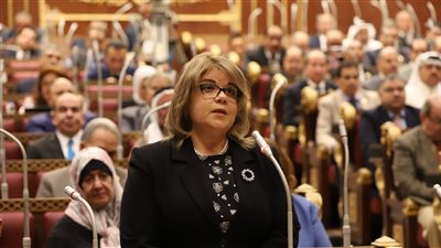 وكيل الشيوخ: نجحنا فى تحويل العجز فى الكهرباء إلى فائض بنسبة 30%