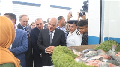 10 معلومات عن سوق السمك الحضاري بجنوب الجيزة (صور)