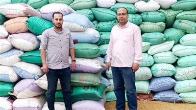 ضبط 160 طن قمح قبل تهريبها للسوق السوداء في الدقهلية 