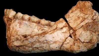 البيانات الوراثية تكشف: الجنس البشري نشأ بأفريقيا قبل 300 ألف عام