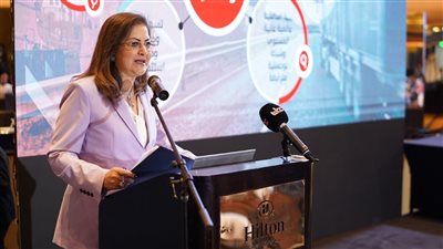 هالة السعيد: جهود مصر تركز على جذب الاستثمار 