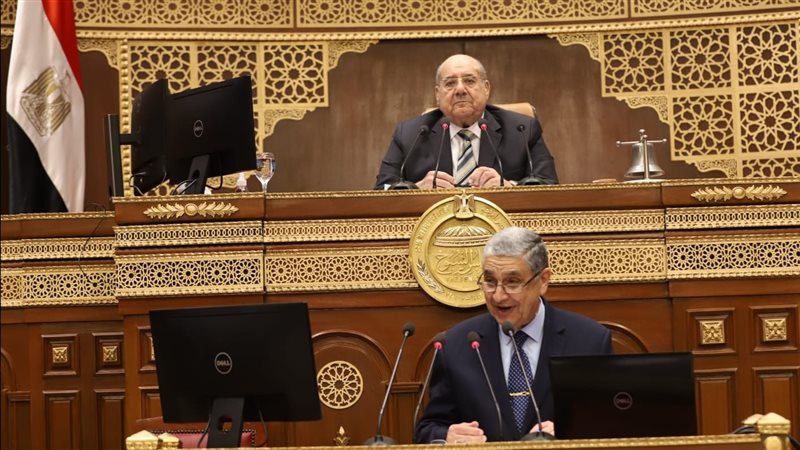 وزير الكهرباء من