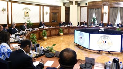 رئيس الوزراء يناقش إجراءات دعم وتحفيز صناعة الدواء
