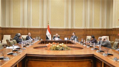 الإرشاد الزراعي: ننتج 2 مليون قنطار قطن ومنظومة جديدة لتسويق المحصول