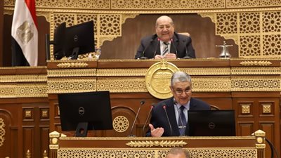 وزير الكهرباء: لم نستورد عداد واحد مسبوق الدفع، وهذا موقفنا من الشكاوى