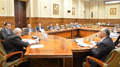 الزراعة: خطة للاستفادة من القطن المصري بتطوير الصناعة وتطبيق الزراعات التعاقدية