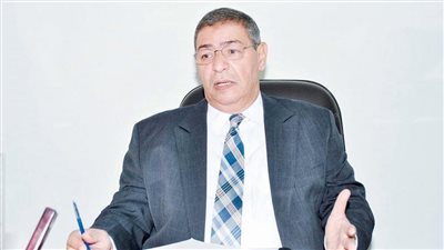 رئيس شعبة الاقتصاد الرقمي: فقدنا أعمالنا وموردينا وننتظر تدخل الرئيس لإنقاذ القطاع