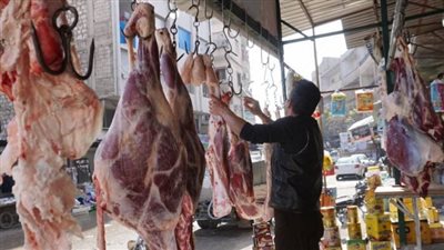 أخبار الاقتصاد اليوم.. انخفاض أسعار الذهب اليوم في ختام التعاملات.. وموعد تراجع أسعار اللحوم بالأسواق 