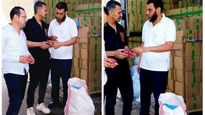 ضبط طن و600 كيلو فراولة منتهية الصلاحية بكفر الدوار (صور)