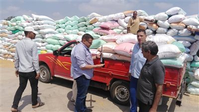 توريد 233 ألف طن قمح لشون وصوامع البحيرة