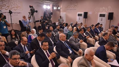 عادل حنفي: تحويلات المصريين بالخارج تجاوزت 31 مليار دولار