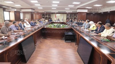 إجراءات عاجلة لمواجهة بيع وتداول القمح خارج الشون والصوامع ببني سويف