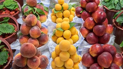 أسعار الفاكهة، ارتفاع سعر المشمش والتفاح اليوم الثلاثاء 6-6-2023 بالأسواق