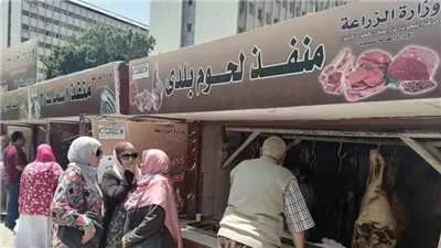 الزراعة تؤجل افتتاح معرض خير مزارعنا لأهالينا، وزيادة العارضين بتخفيضات 25%