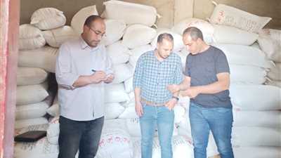 ضبط 318 طن قمح في حملات تموينية بالدقهلية 