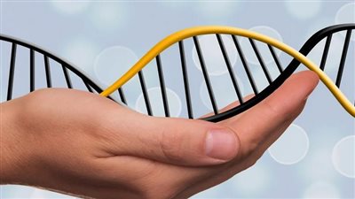 لا تحس بالألم.. سيدة بجين نادر تفتح الباب لتطوير مسكنات خارقة