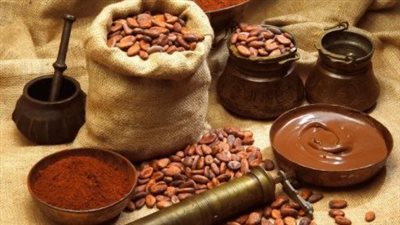 أهمها التفاح والكاكاو، دراسة حديثة تكشف عن أطعمة تفيد في تخفيف أعراض الشيخوخة