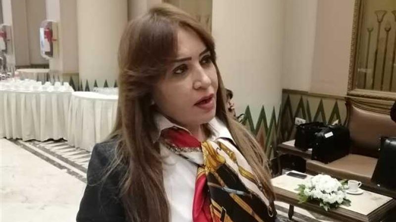 النائبة جيهان البيومى،فيتو