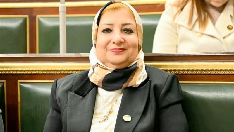 النائبة نسرين عمر،فيتو