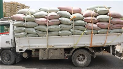 ضبط سيارتين محملتين بـ 13 طنا من محصول القمح بالمنيا