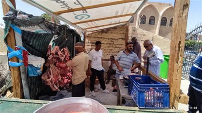 طرح لحوم بلدي بـ 250 جنيها وسلع غذائية بأسعار مخفضة فى الخارجة (صور)